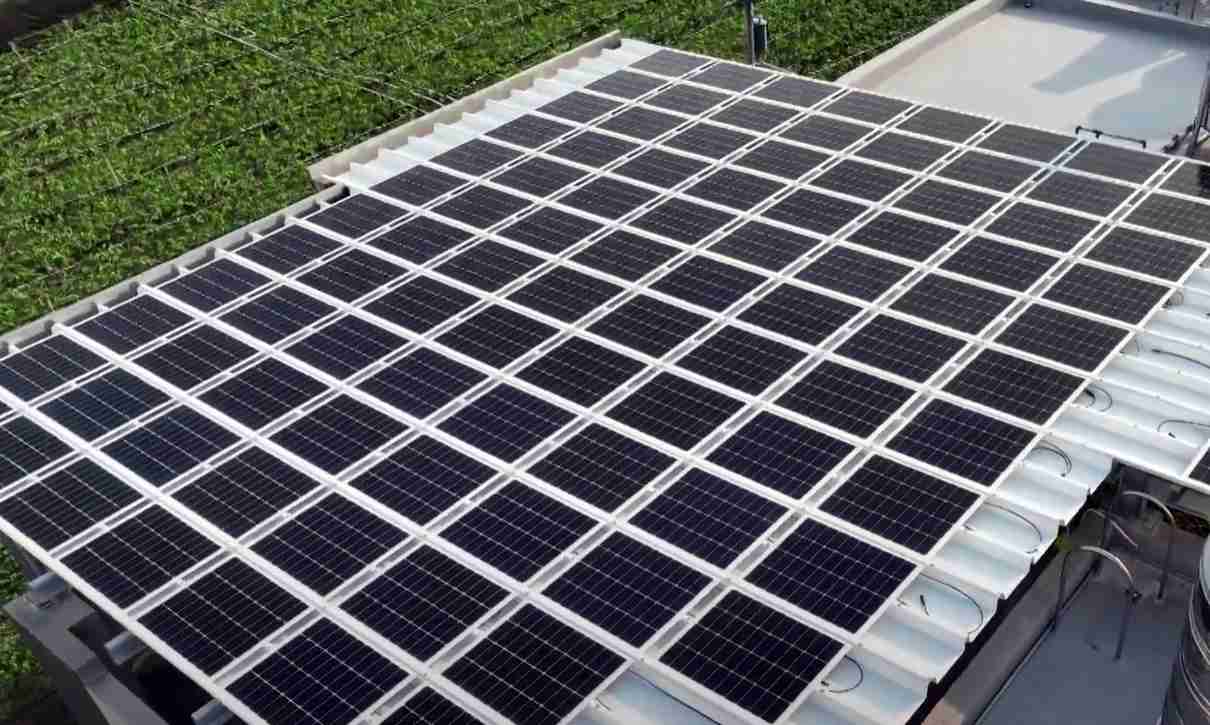 2121非凡SunSteel光电浪板升级双玻结构，，以提升机械负载强度及气候耐候度，，，，可广泛运用于多元场域